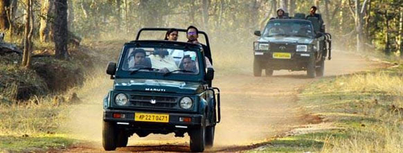 pench-safari